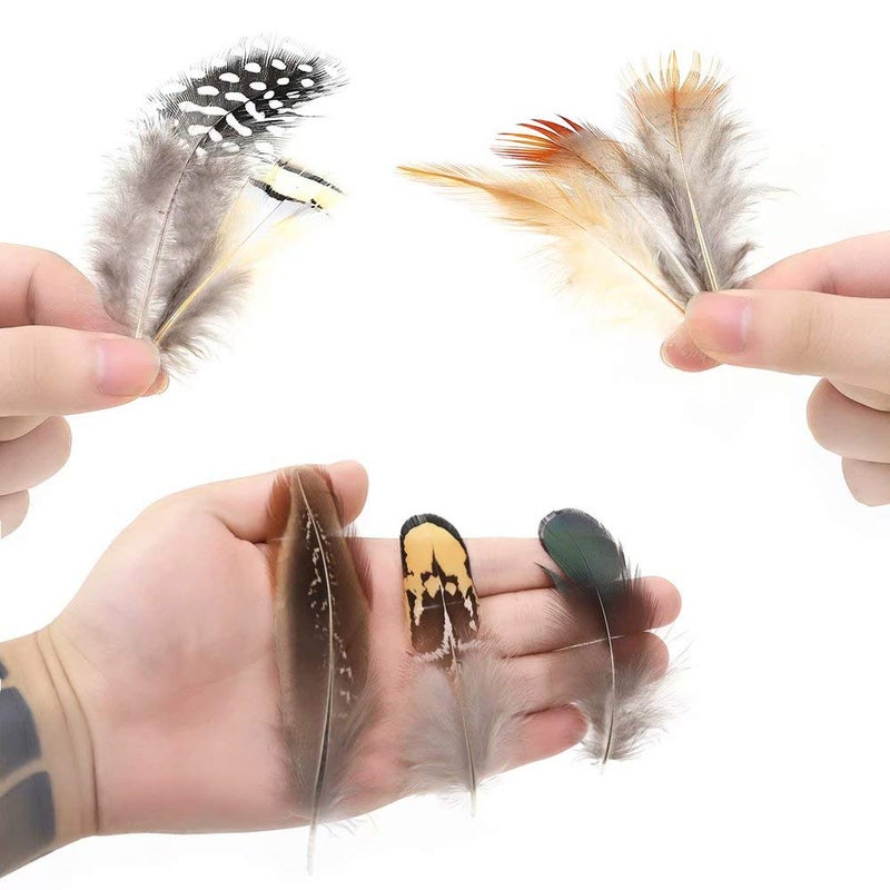 Ballinger 360pcs 12 Styled Natural Feathers Assorted Mixed Feathers for Jewelry and Dream Catcher Crafts - Image 4